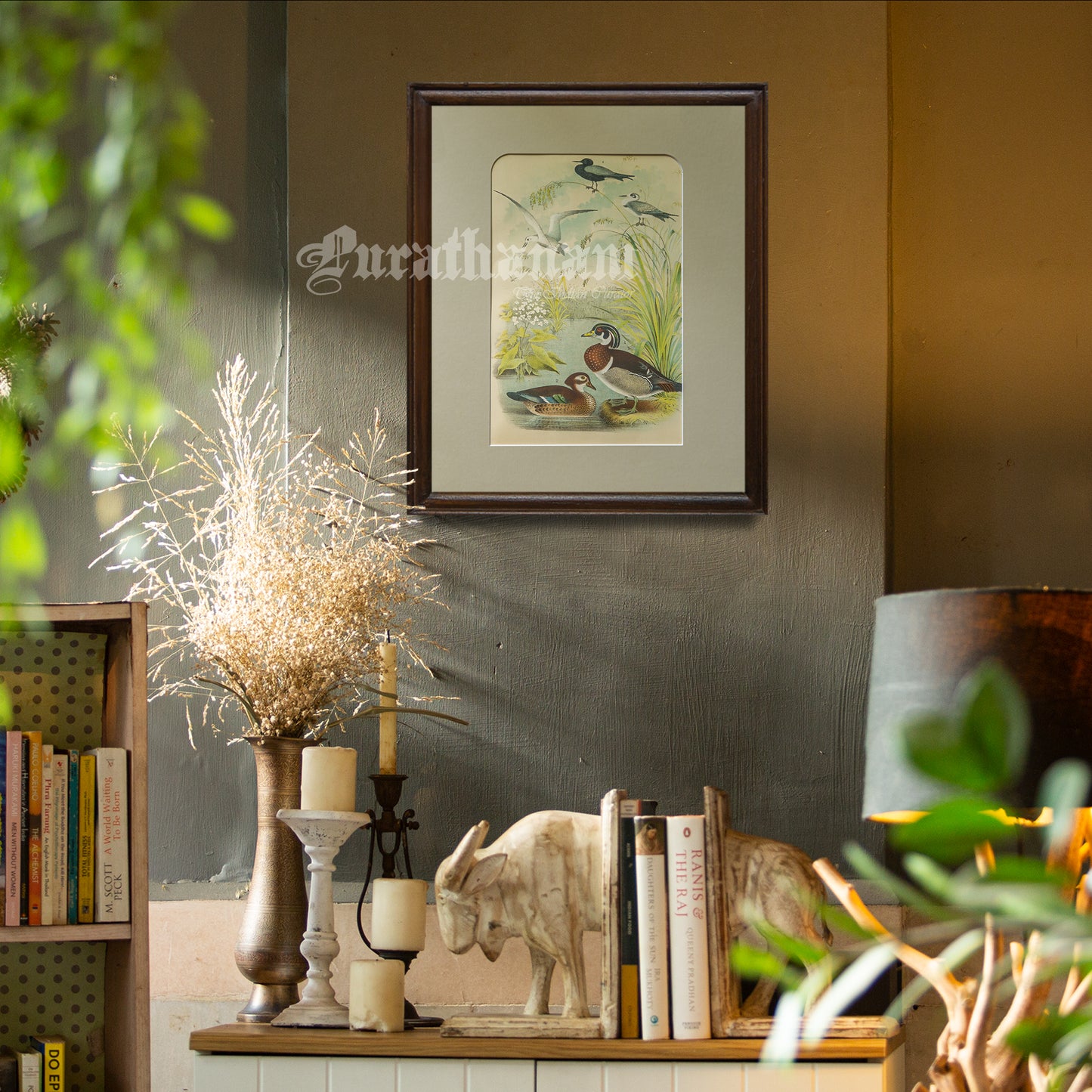 Bird - Chromo lithograph print (Plate - VIII) by Theodore Jasper - Bird Art / Avian Art