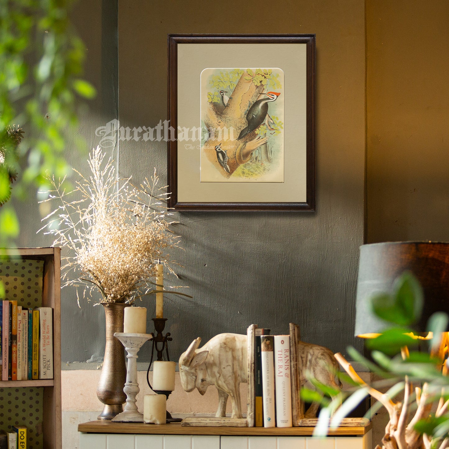 Bird - Chromo lithograph print (Plate -XVIII) by Theodore Jasper - Bird Art / Avian Art