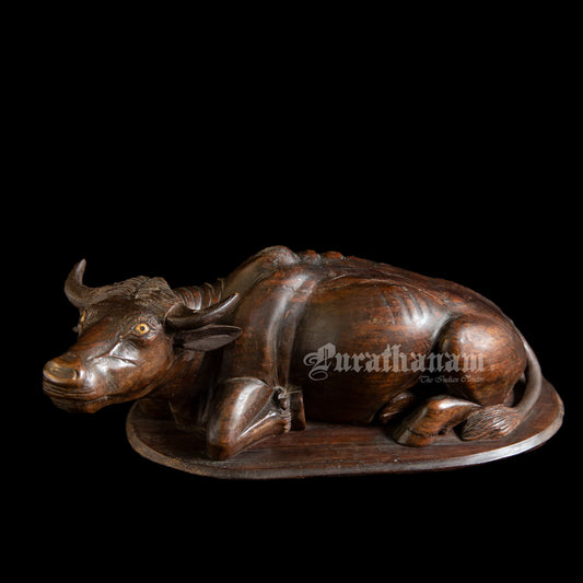 Seated  Buffalo - Rose wood Sculpture