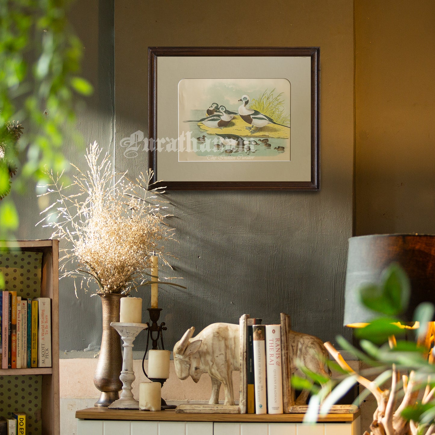 Bird - Chromo lithograph print (Plate - XXI) - Bird Art / Avian Art