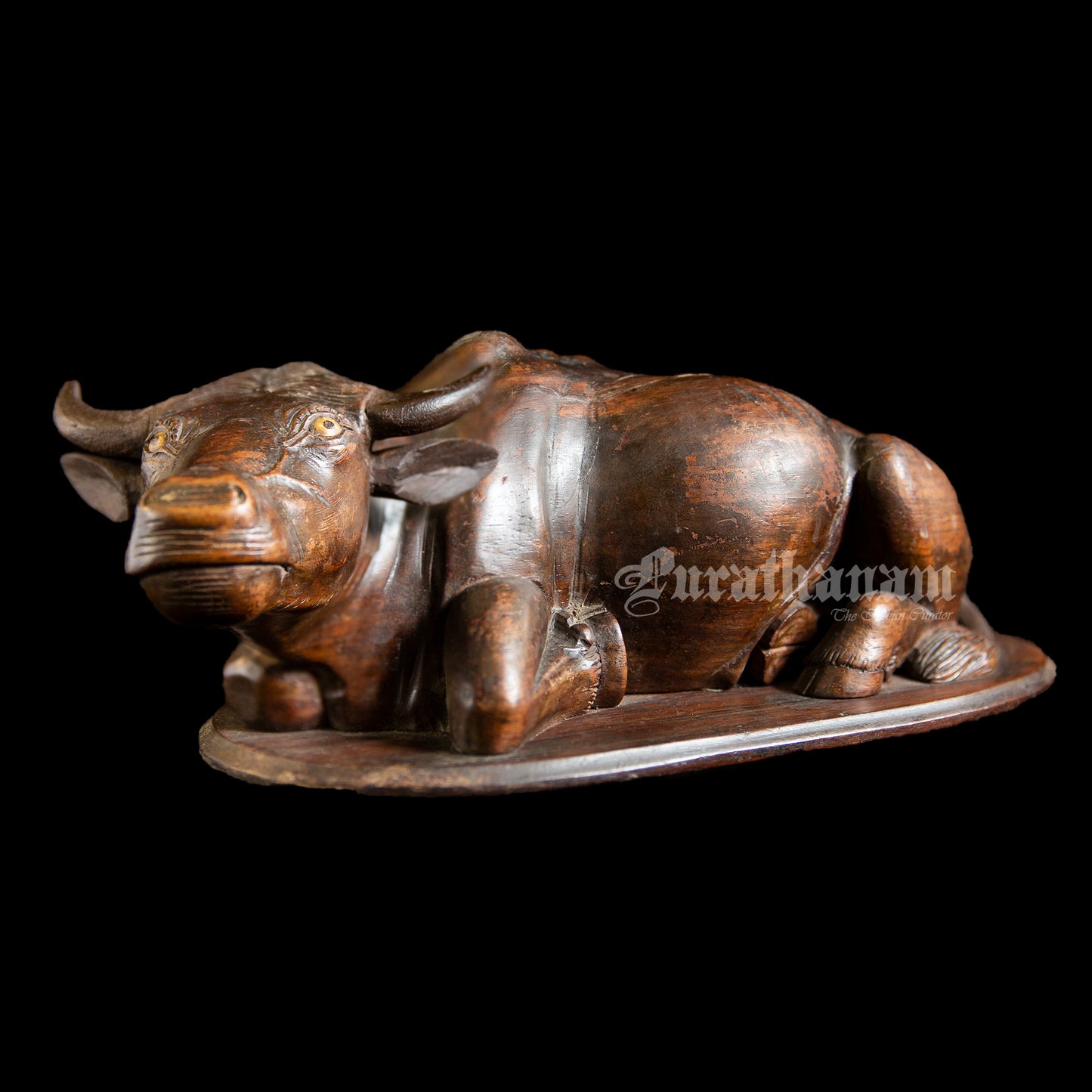 Seated Buffalo - Rose wood Sculpture