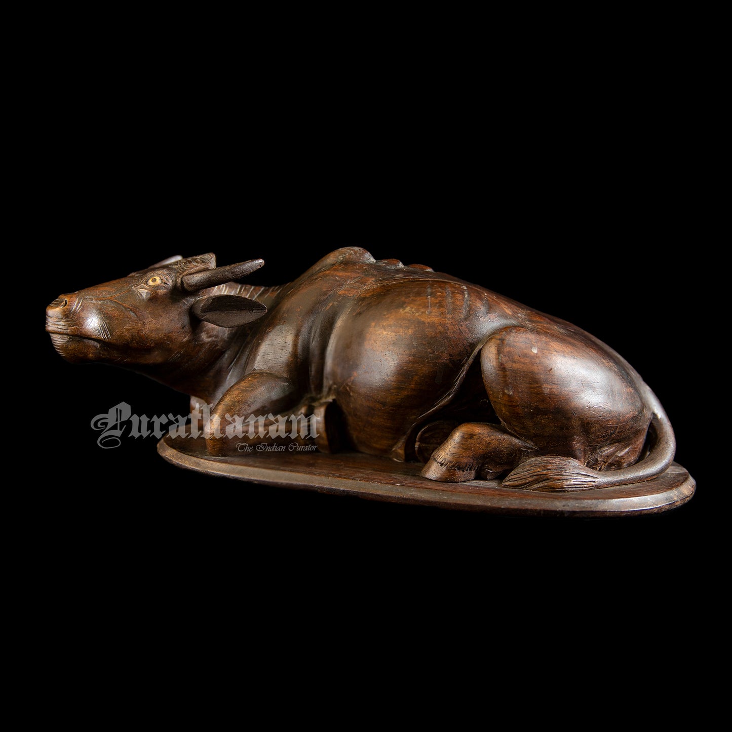 Seated Buffalo - Rose wood Sculpture