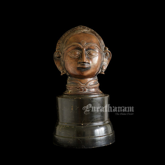 Gauri Head with Wooden Pedestal - Brass
