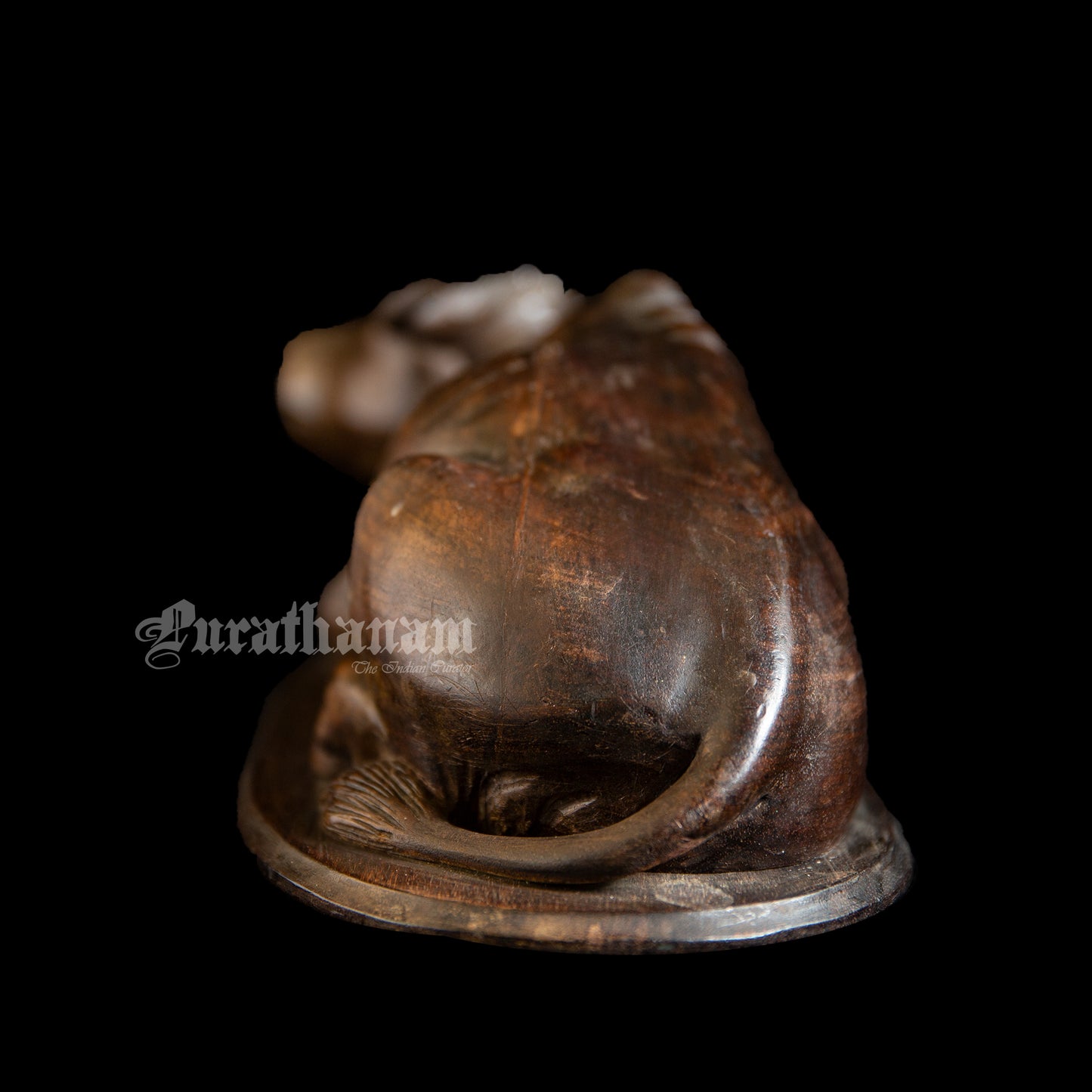 Seated Buffalo - Rose wood Sculpture