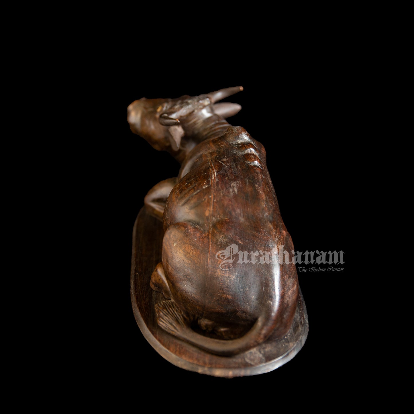 Seated Buffalo - Rose wood Sculpture