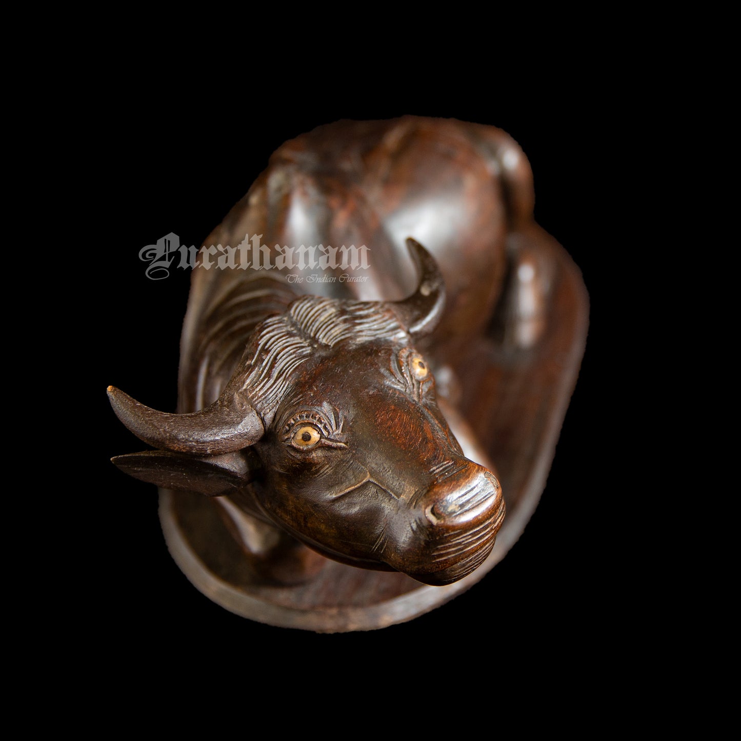 Seated Buffalo - Rose wood Sculpture