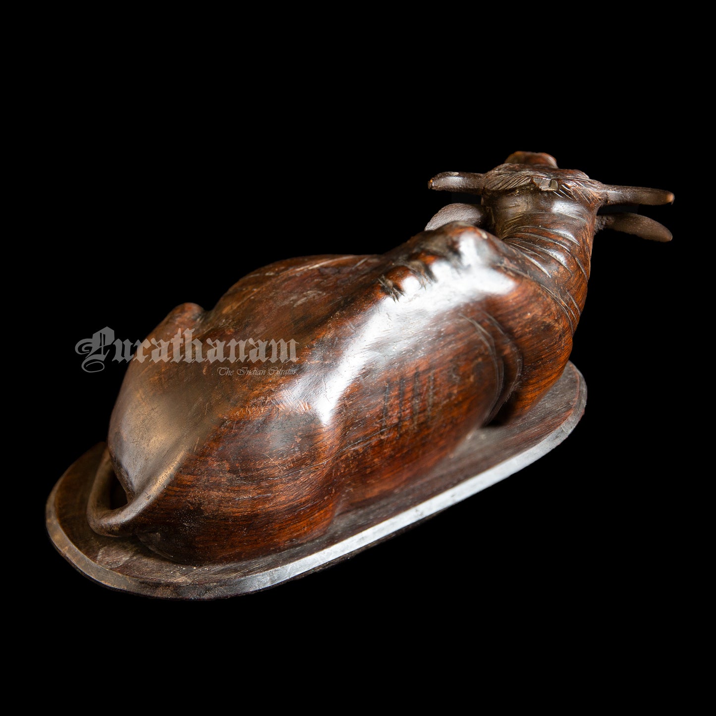 Seated Buffalo - Rose wood Sculpture