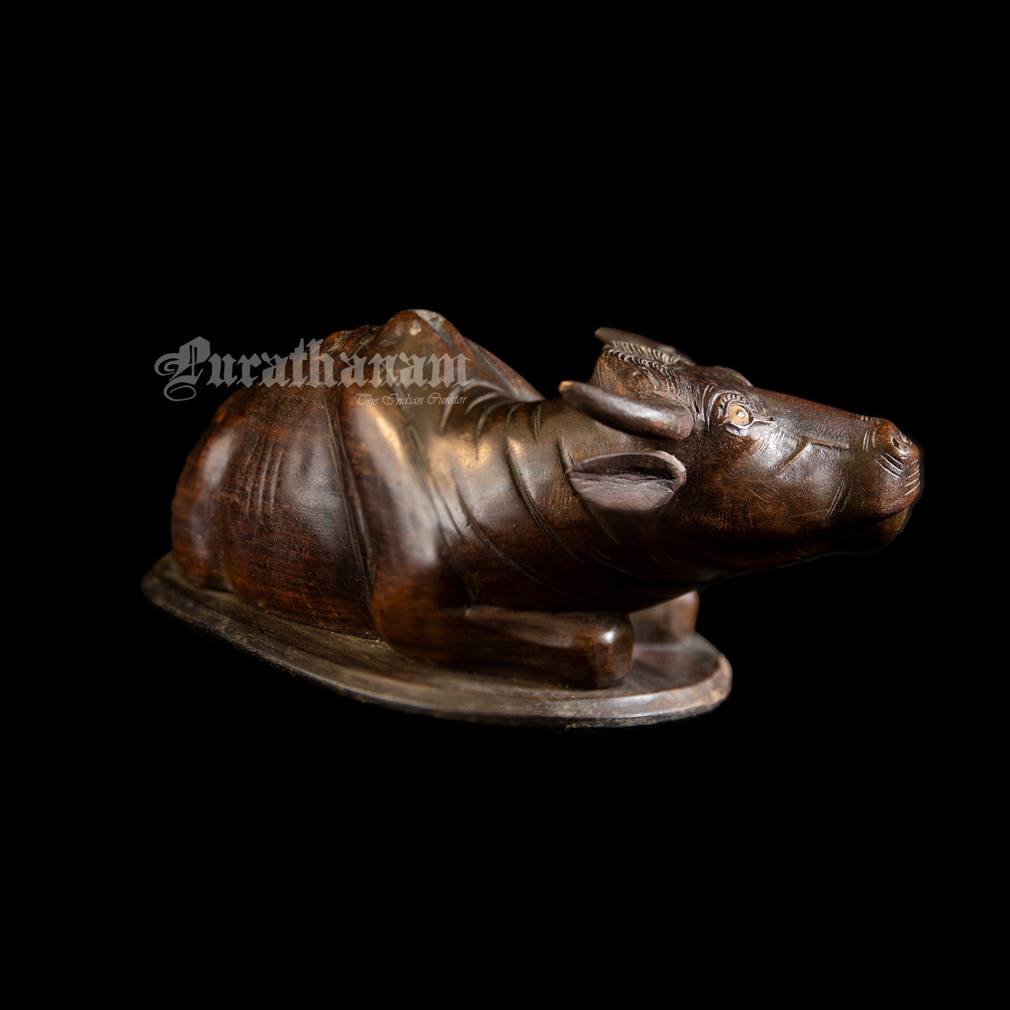 Seated Buffalo - Rose wood Sculpture