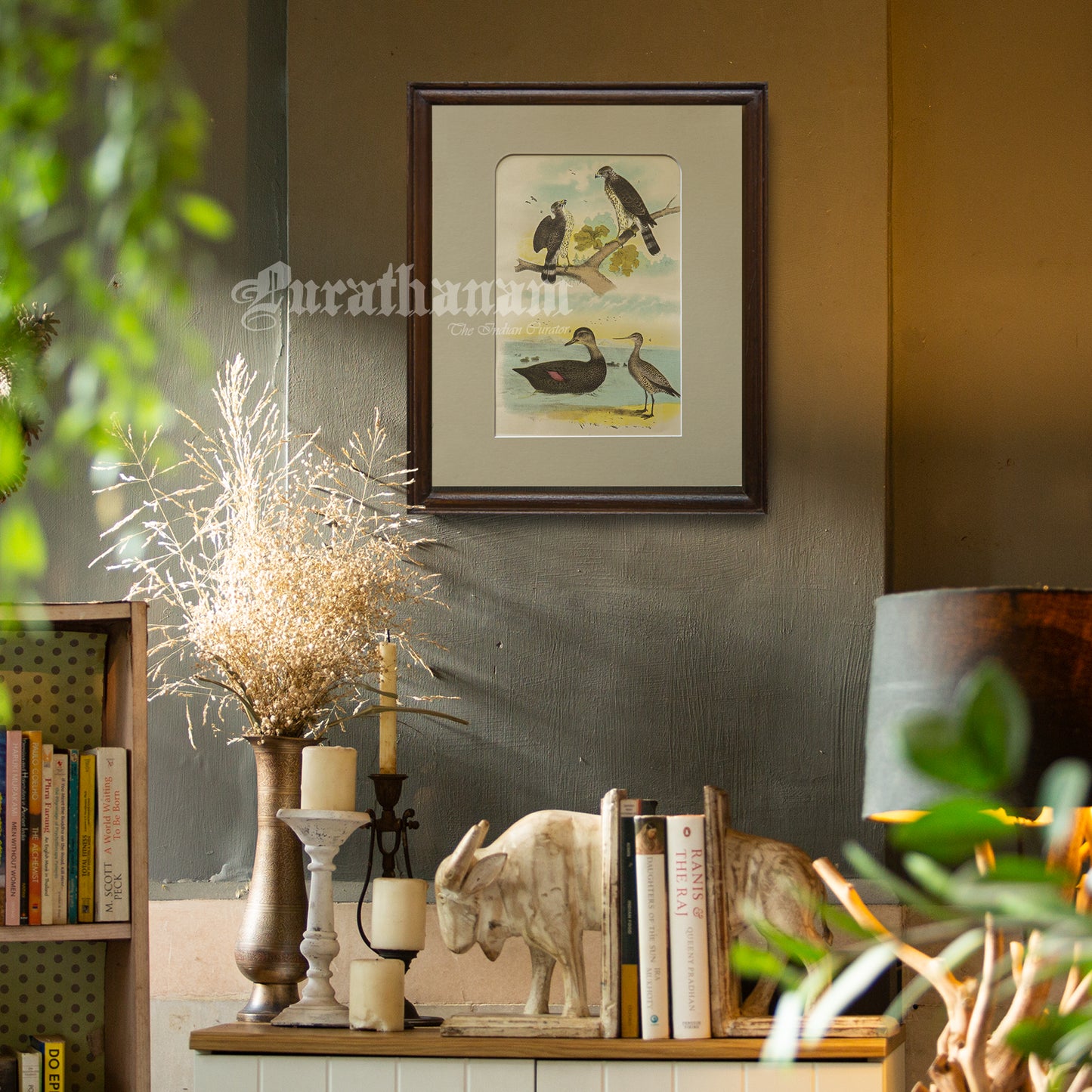 Bird - Chromo lithograph print (Plate - LVIII) by Theodore Jasper - Bird Art / Avian Art