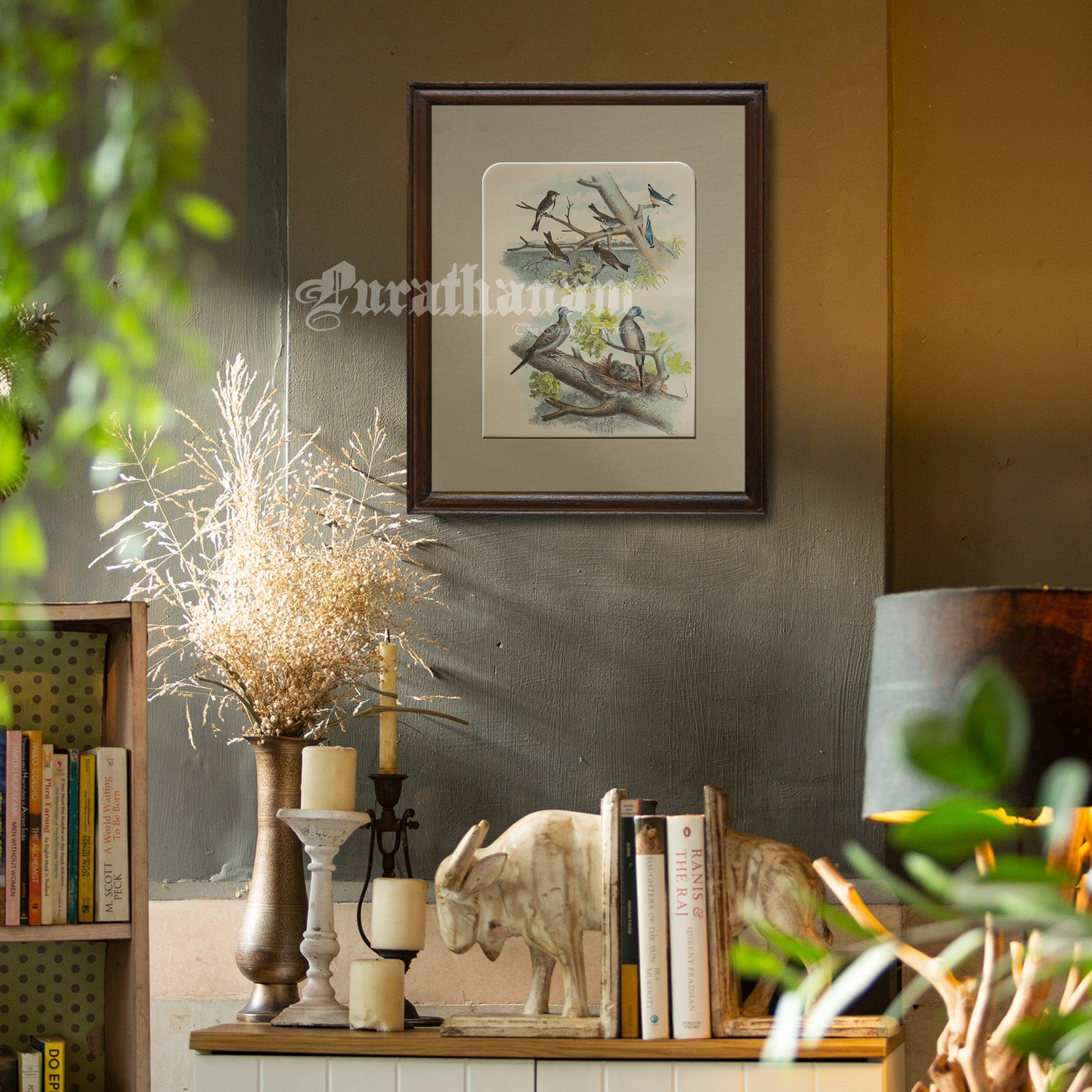 Bird - Chromo lithograph print (Plate - I ) by Theodore Jasper - Bird Art / Avian Art