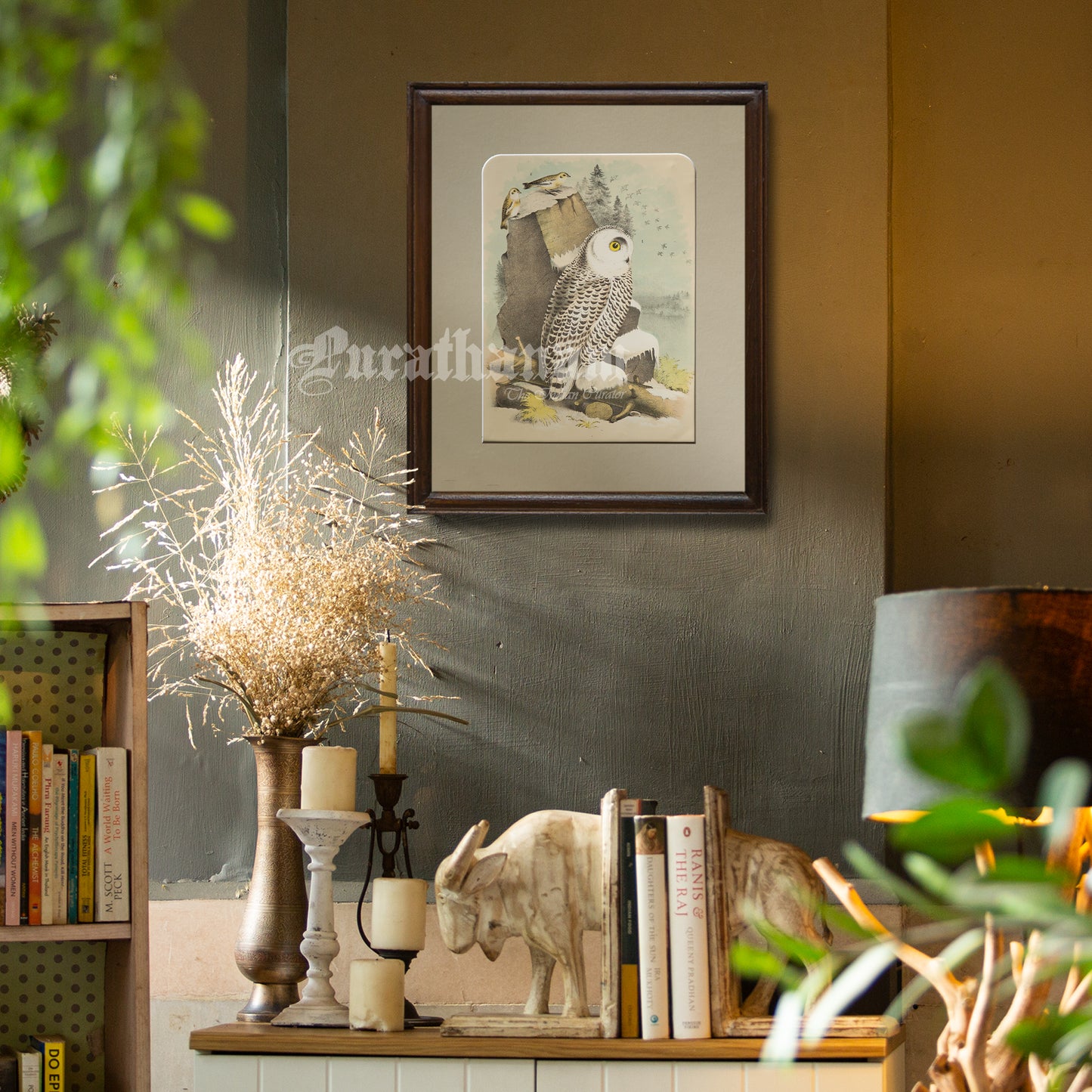 Bird - Snowy Owl Chromo lithograph print (Plate - X) by Theodore Jasper - Bird Art / Avian Art