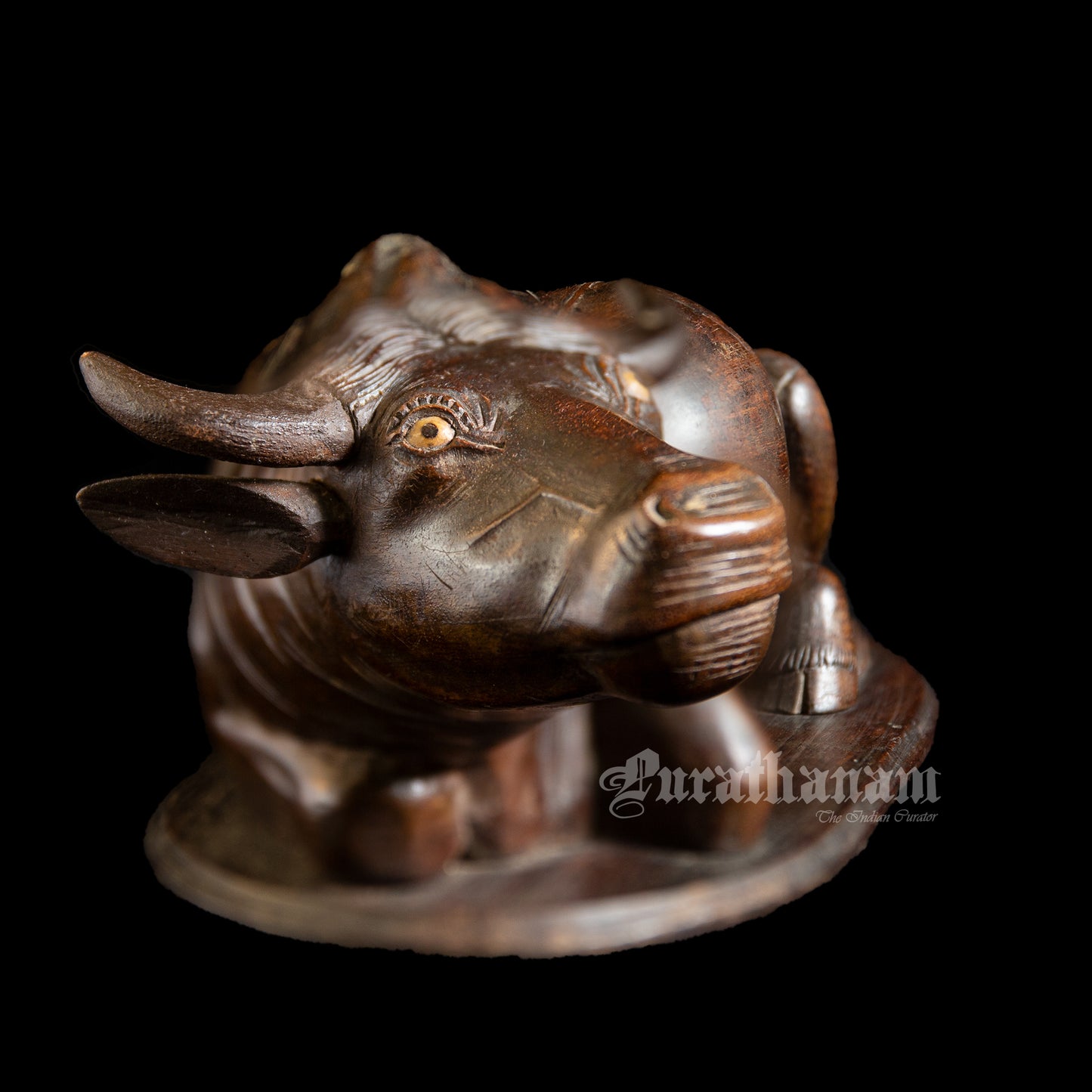 Seated Buffalo - Rose wood Sculpture