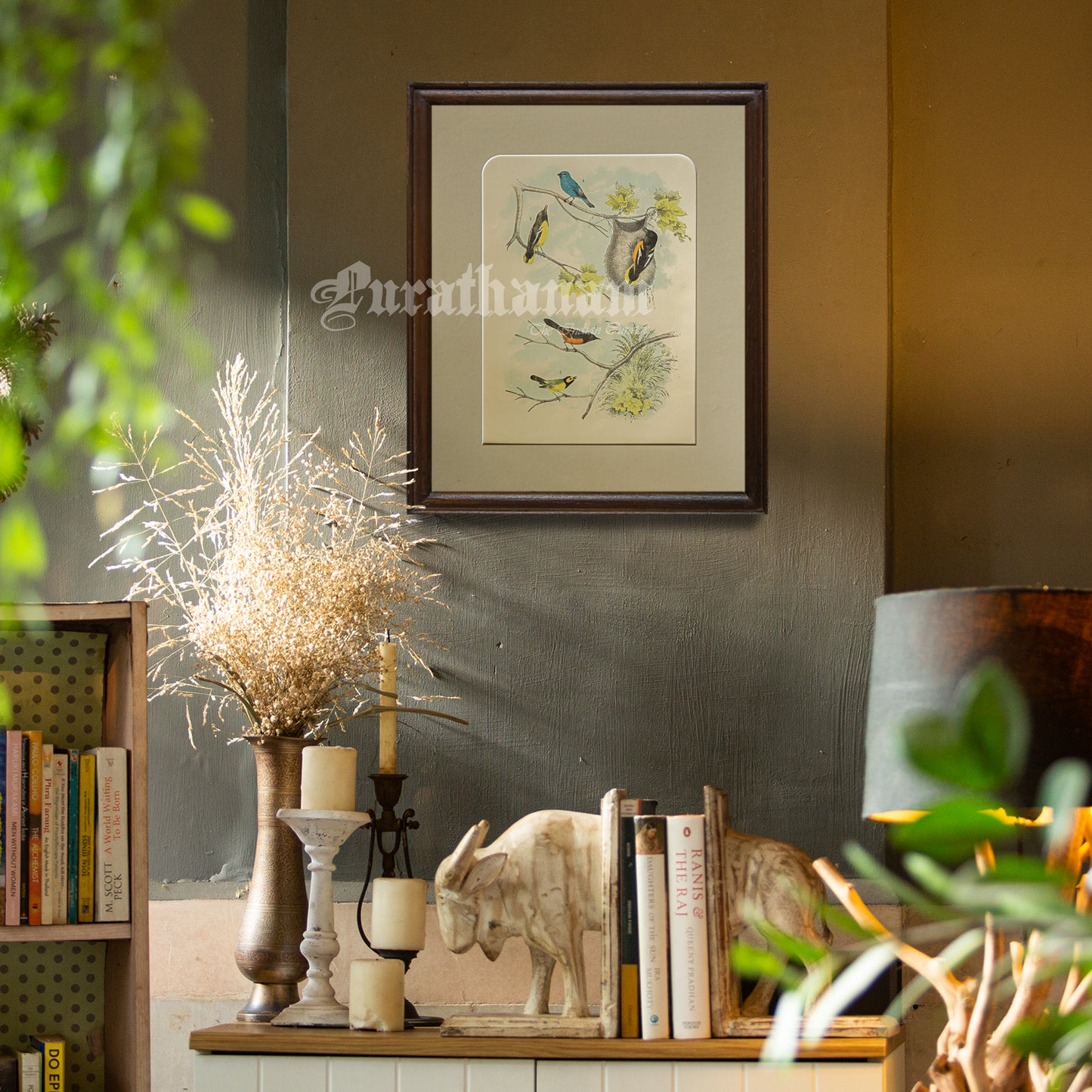 Bird - Chromo lithograph print (Plate -XII) by Theodore Jasper - Bird Art / Avian Art