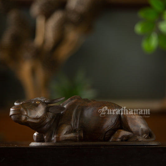 Seated  Buffalo - Rose wood Sculpture
