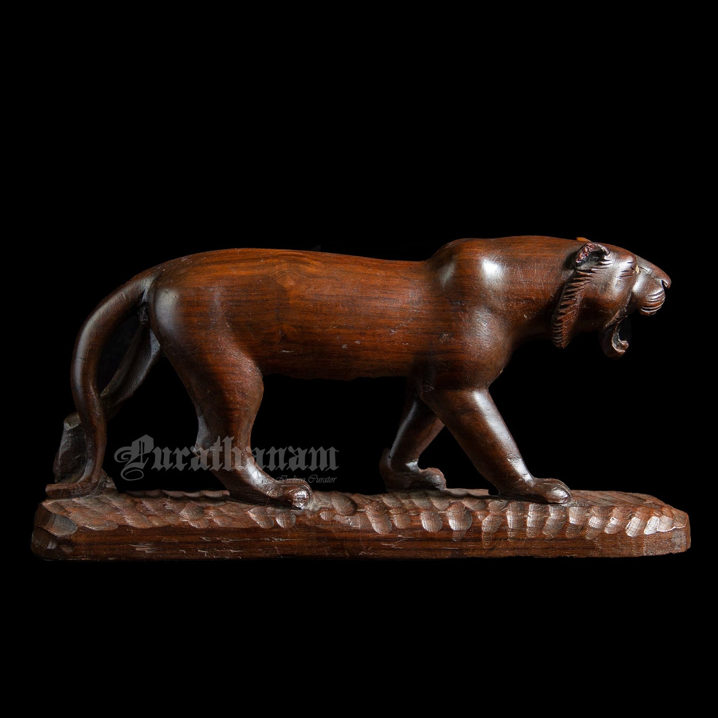 Lioness - Rose wood
