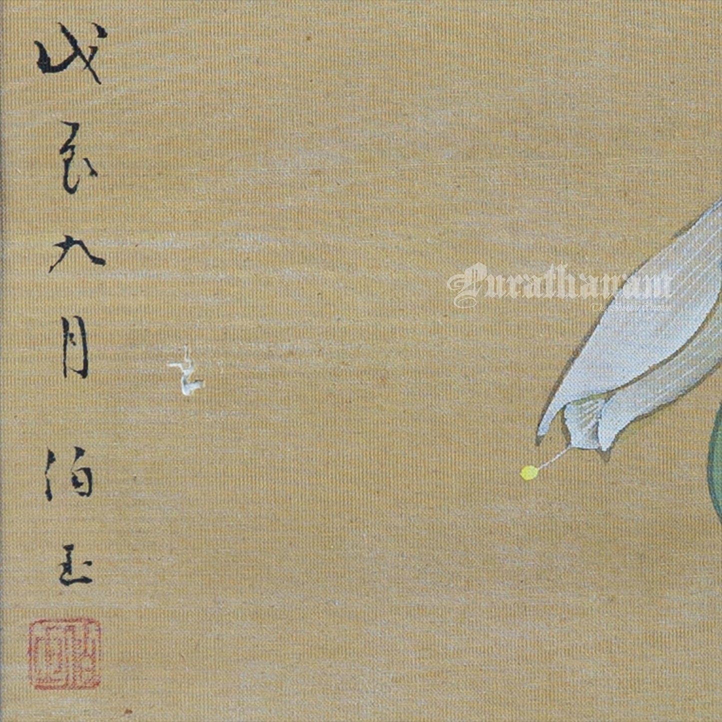 Butterfly - Japanese art (shui-mo)