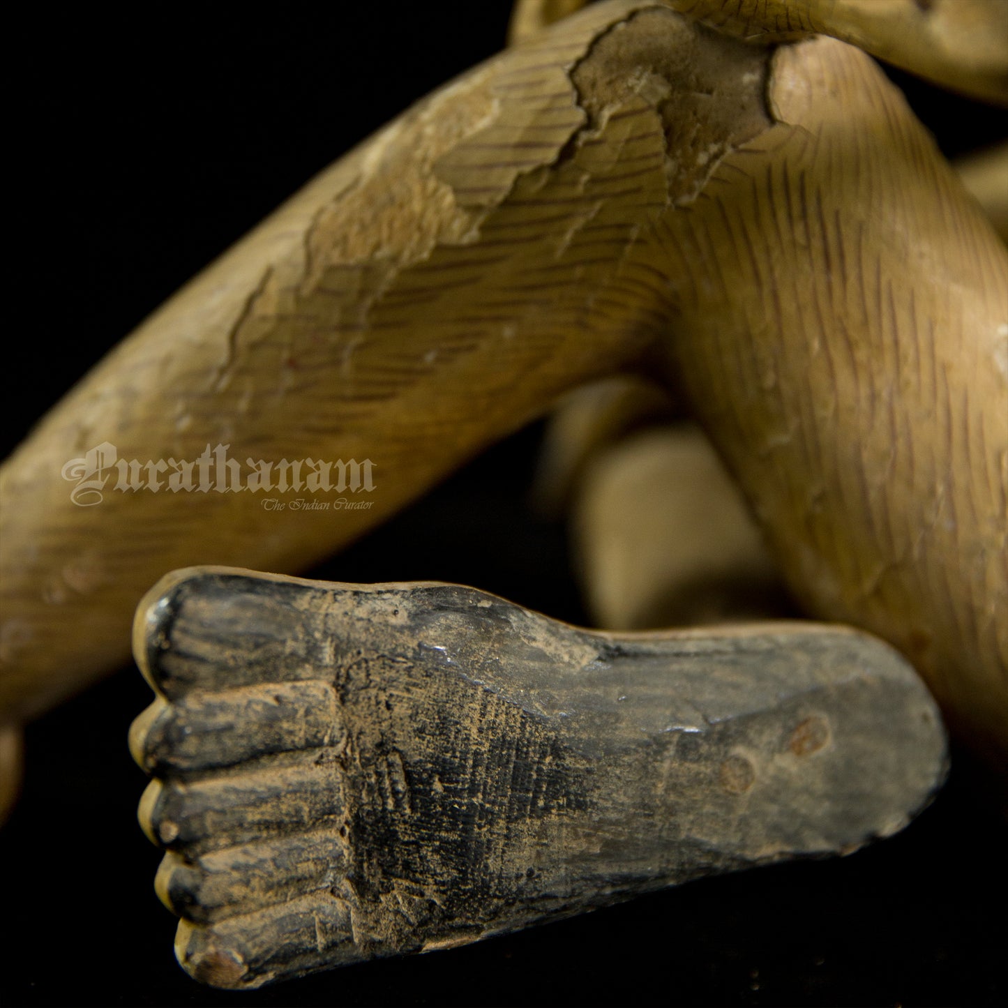 Seated female White Monkey