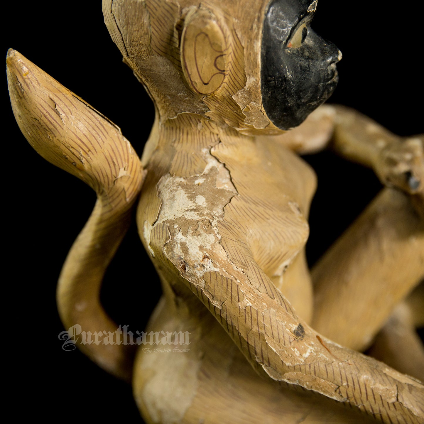 Seated female White Monkey