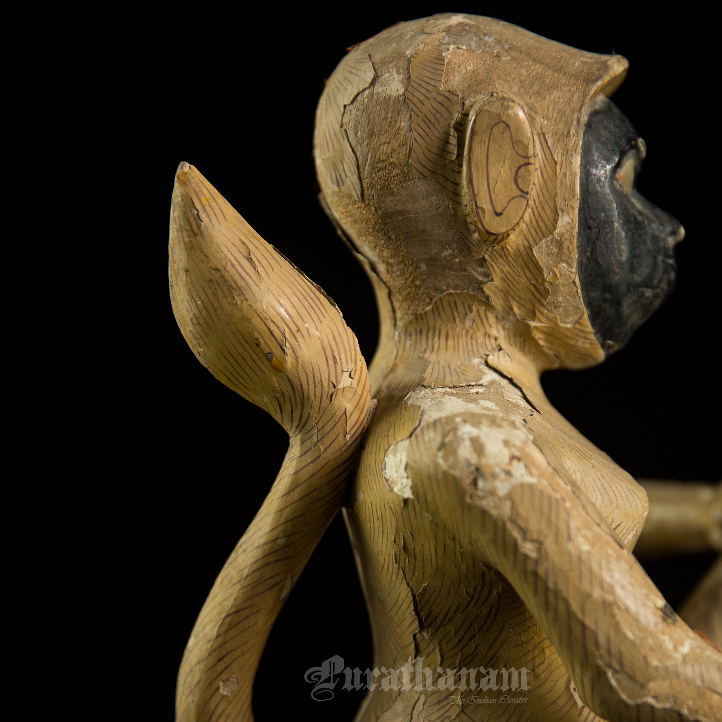 Seated female White Monkey
