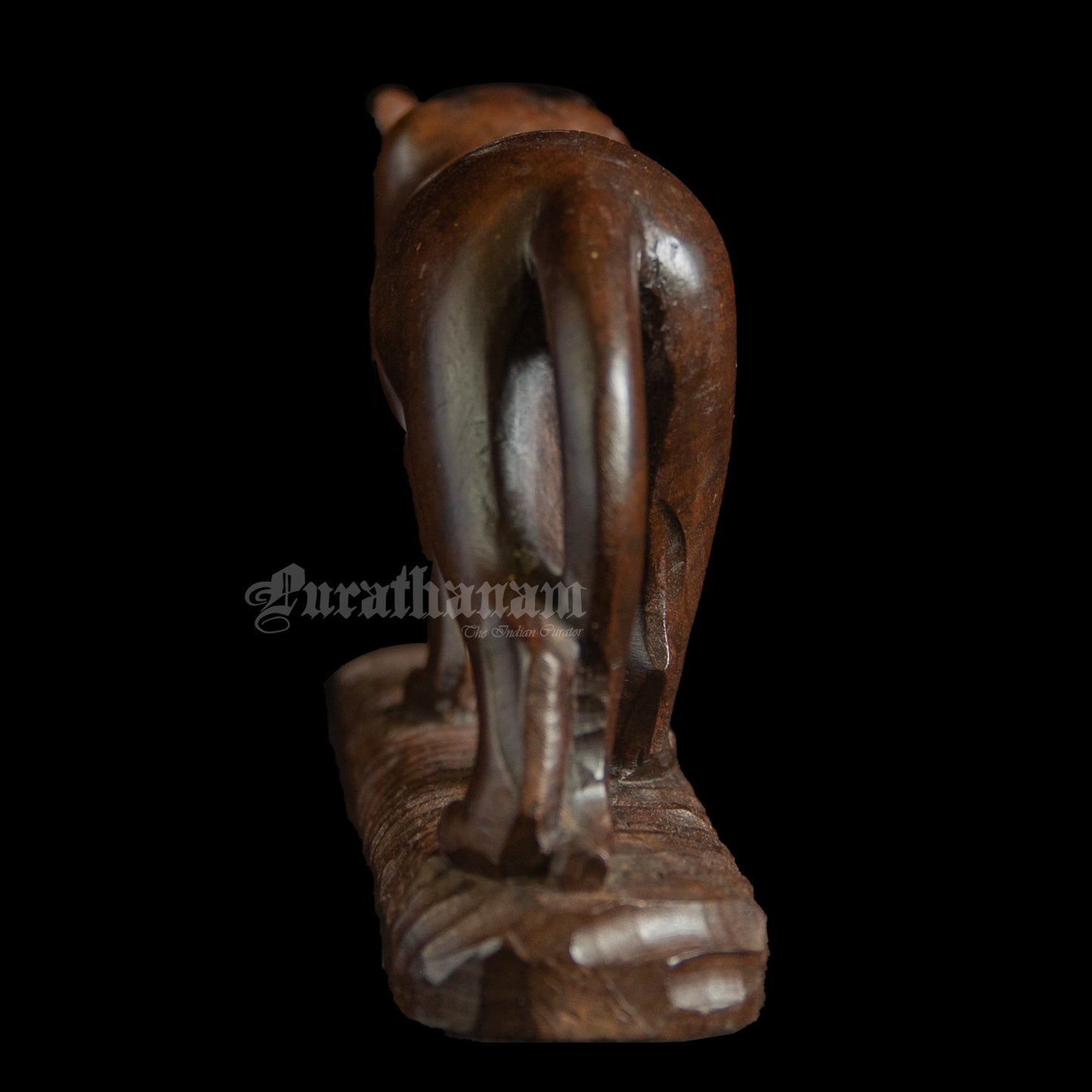 Lioness - Rose wood