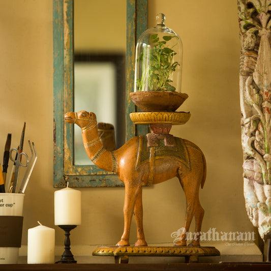 Camel Stand