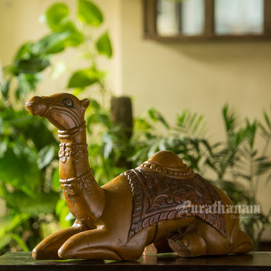 Seated Camel