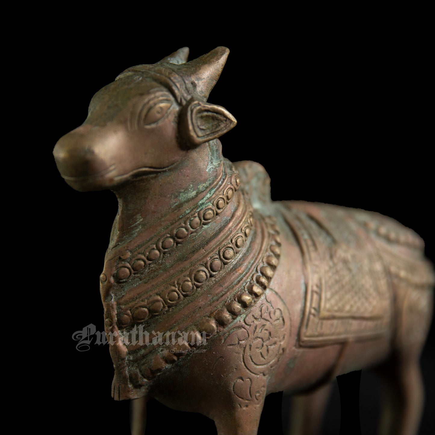 Nandhi - Brass