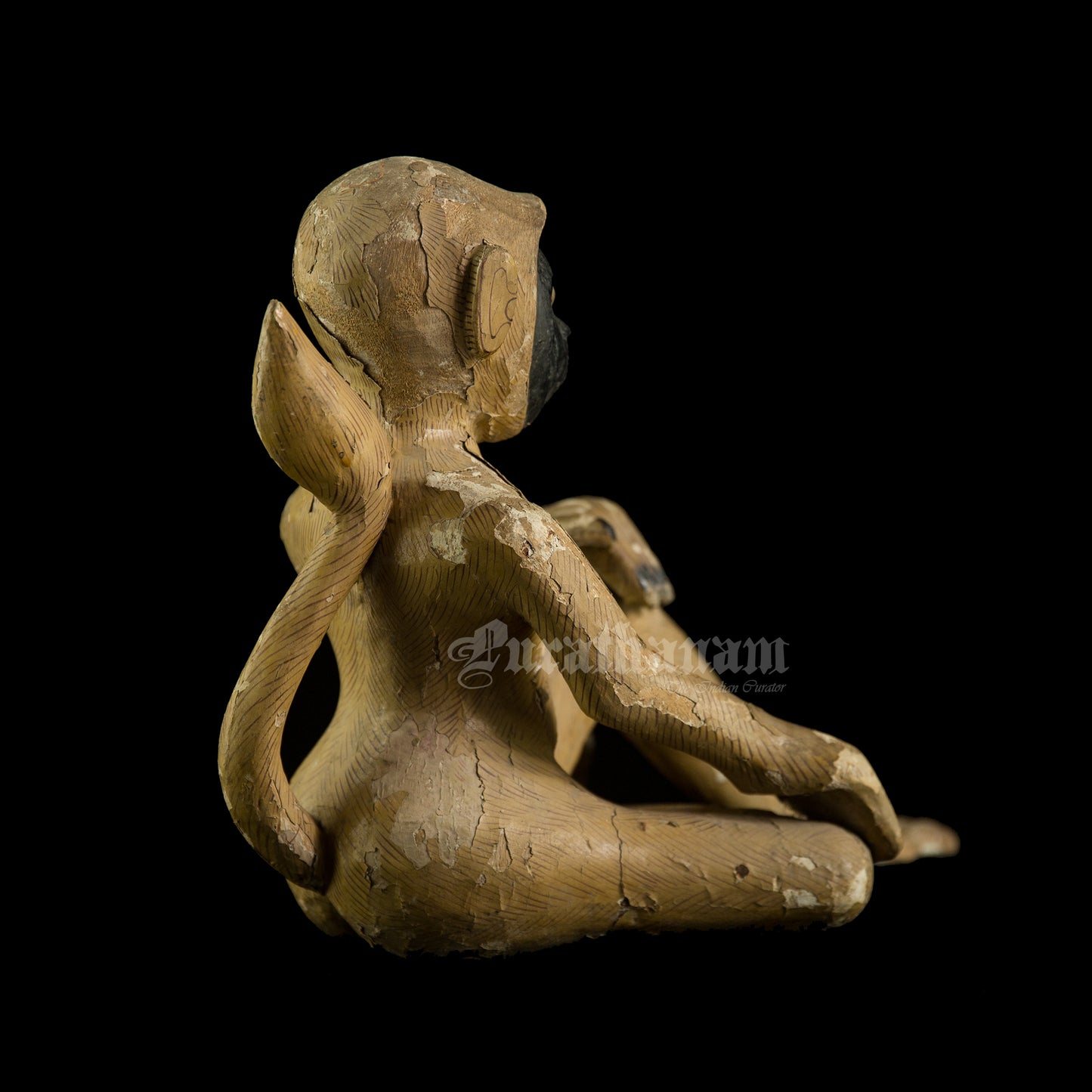 Seated female White Monkey
