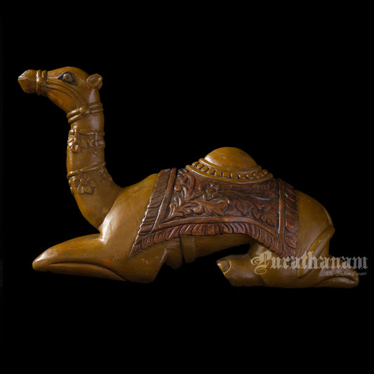 Seated Camel