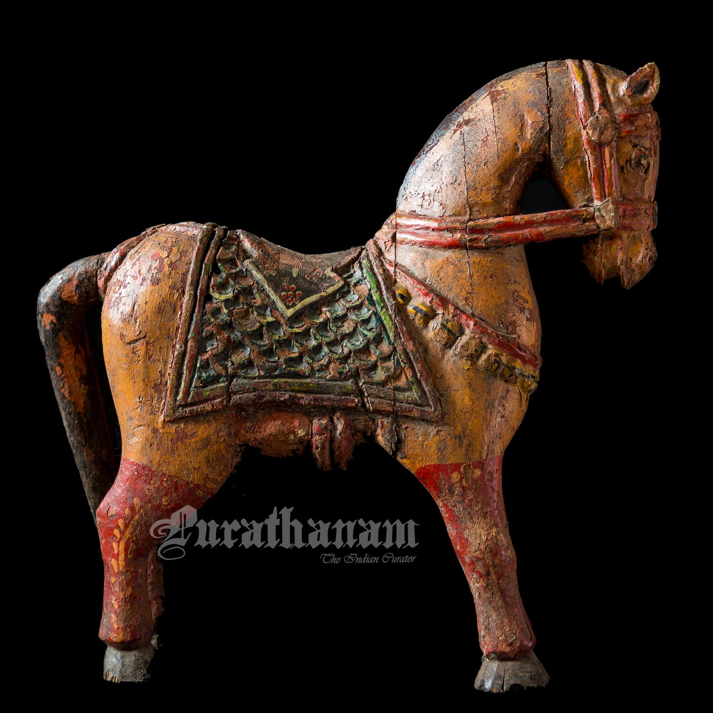 Horse