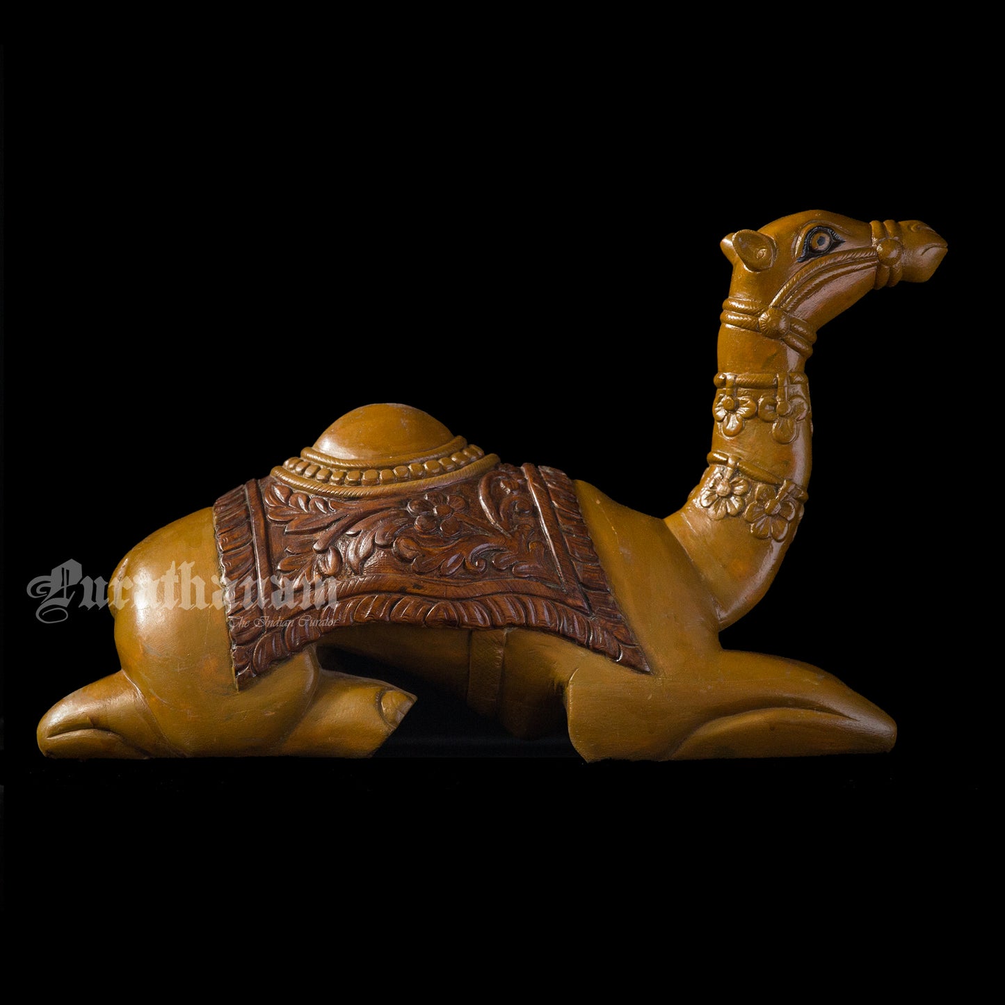 Seated Camel