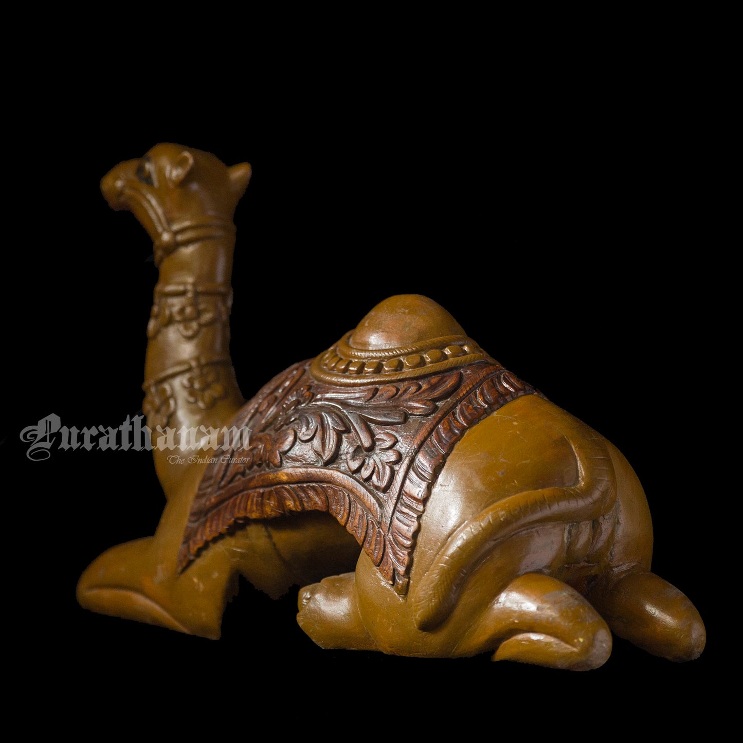Seated Camel