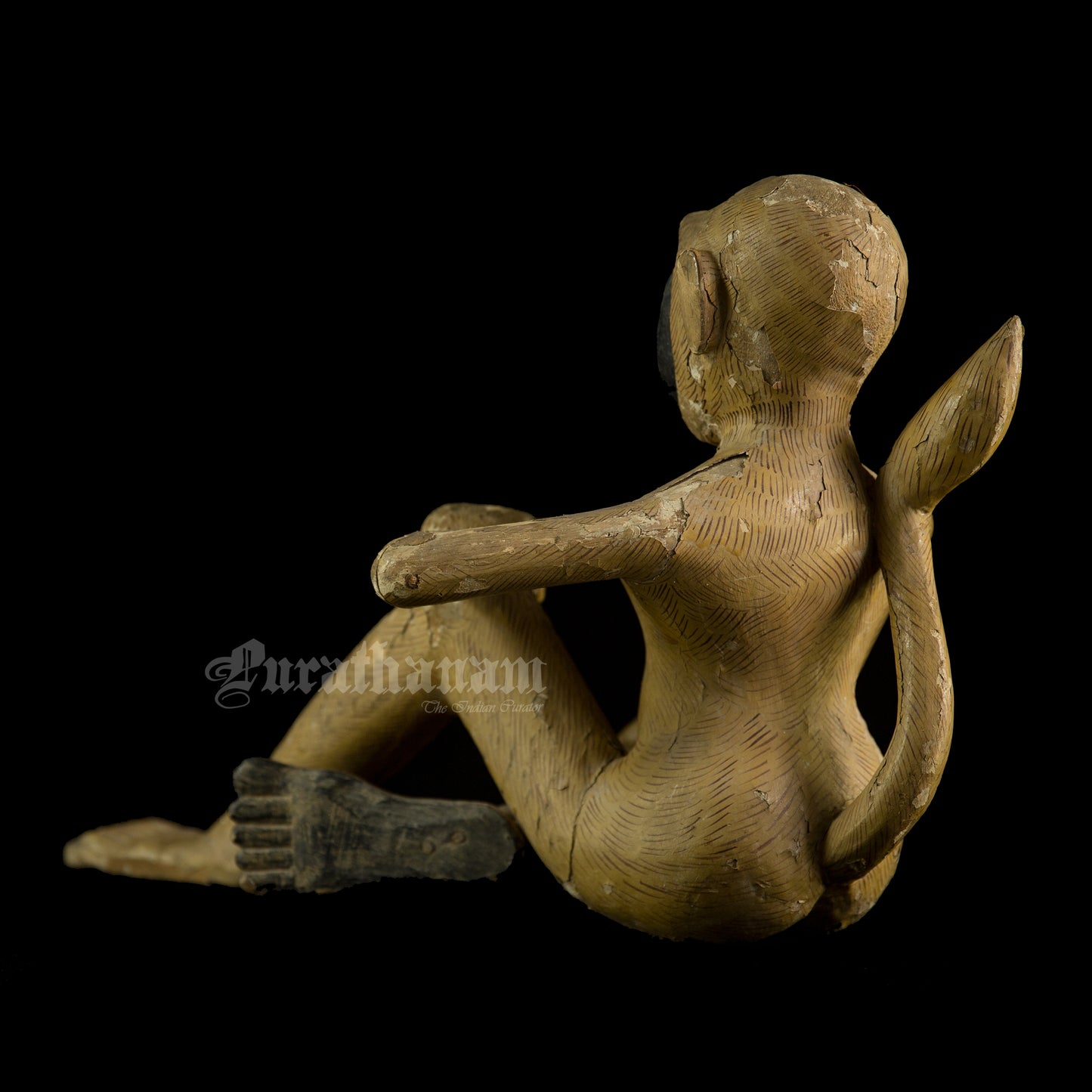 Seated female White Monkey