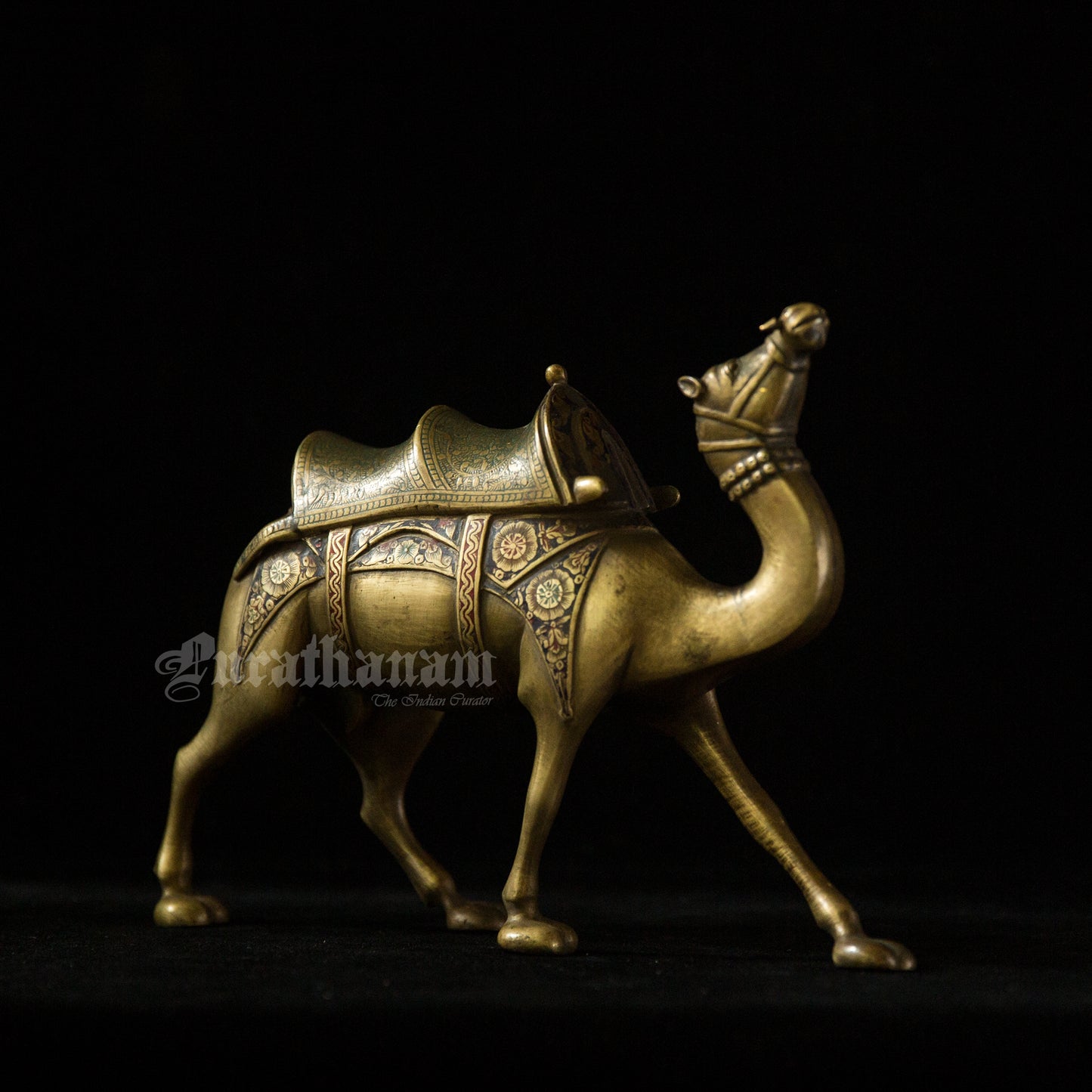 Camel Brass