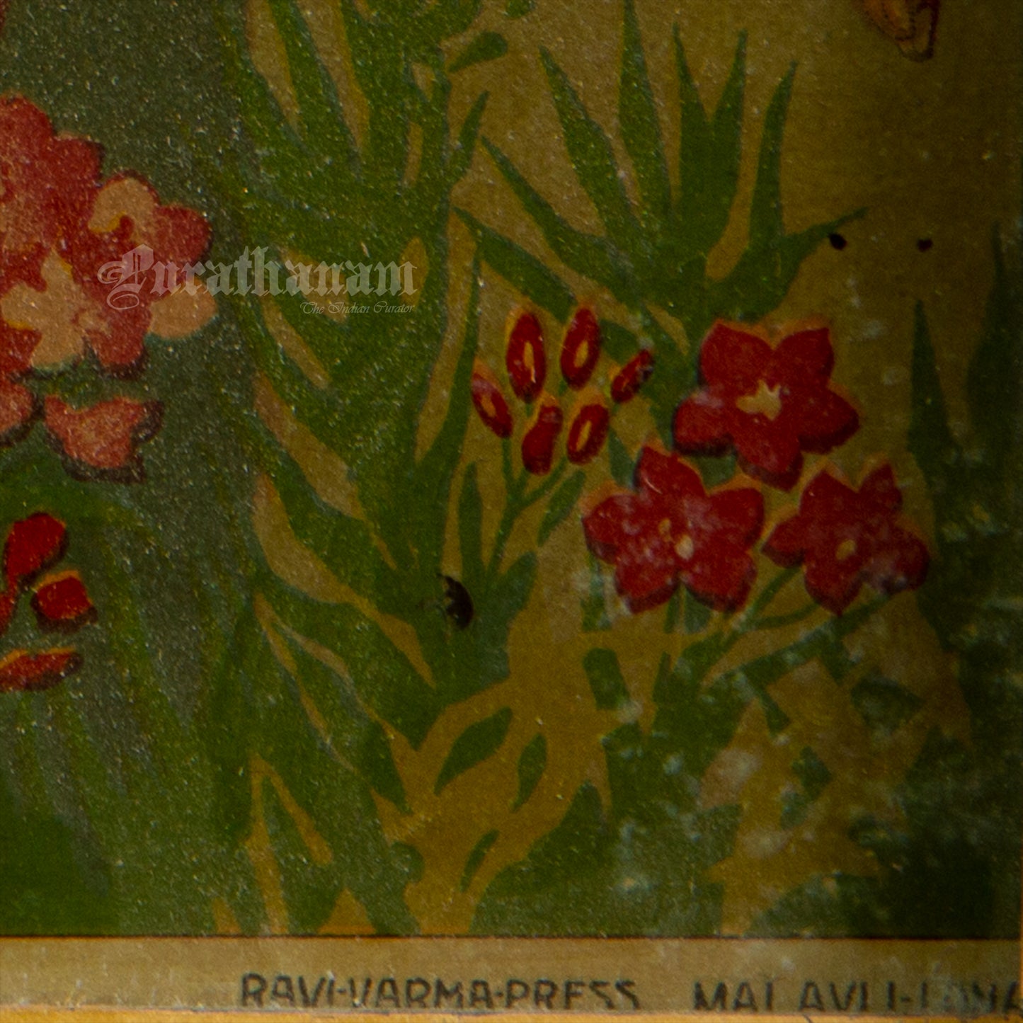 Nayantara - Lithograph Print