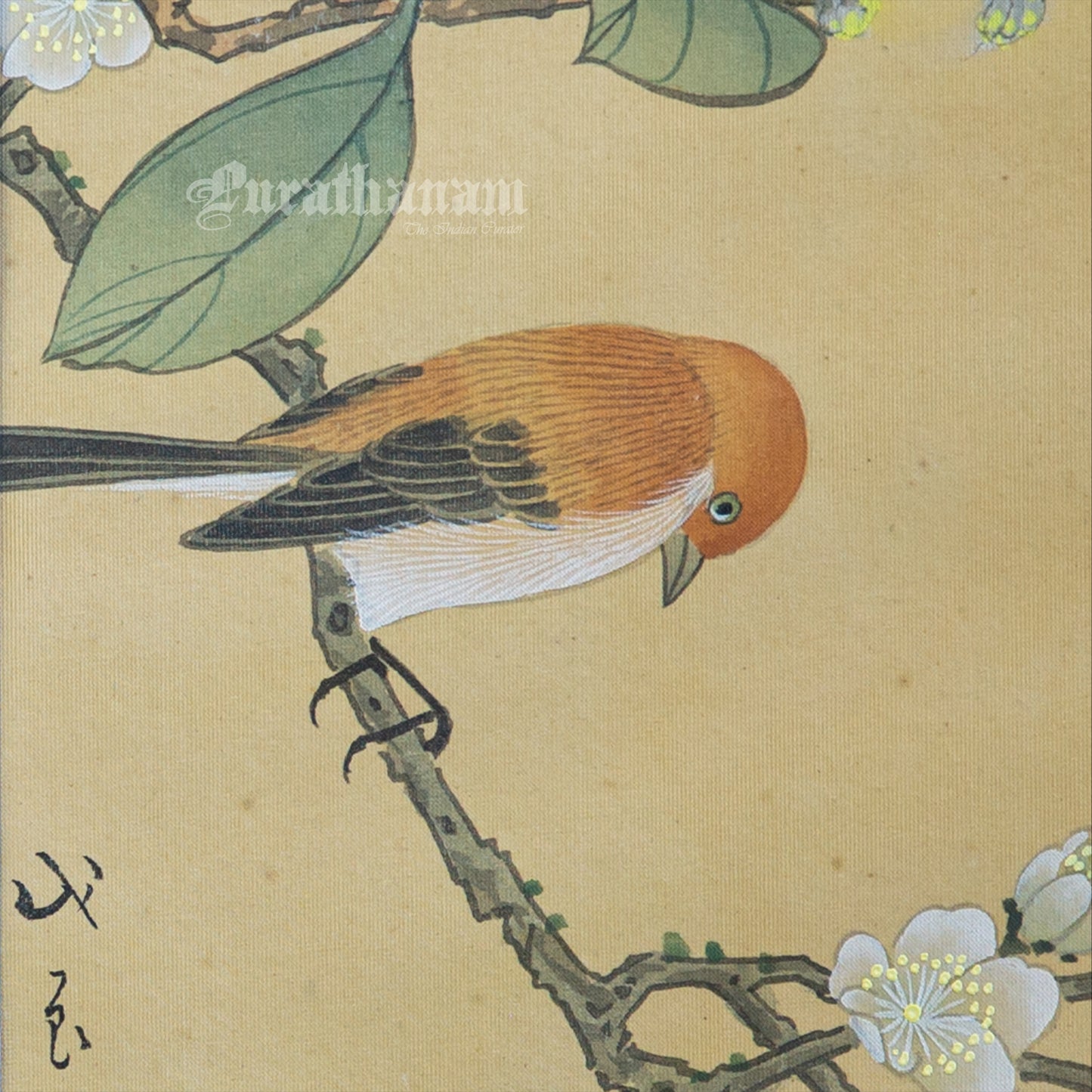 Brown bird and peach blossoms - Japanese art (shui-mo) - Bird Art / Avian Art