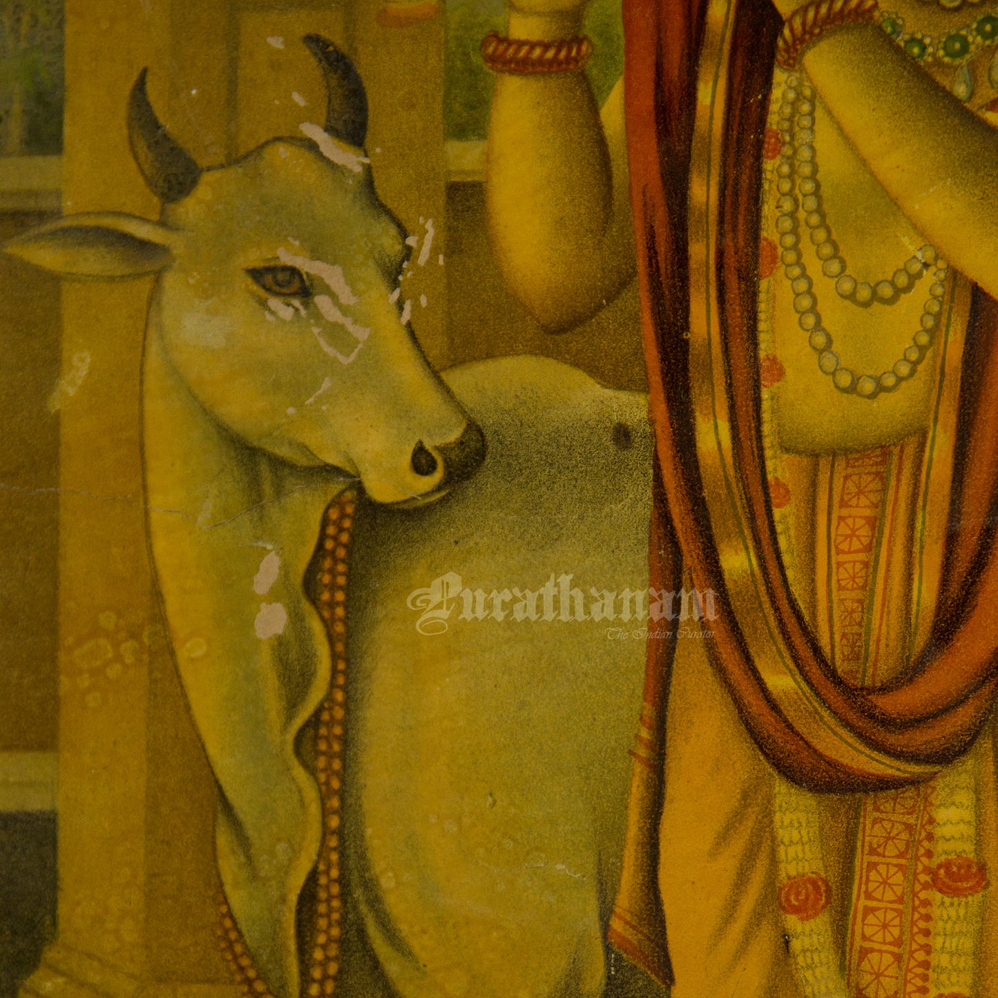 Venudhar