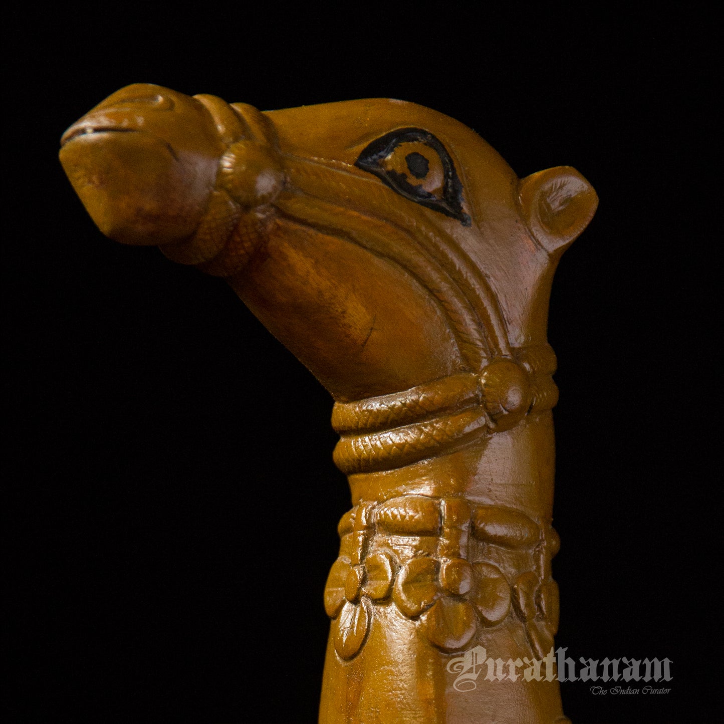 Seated Camel