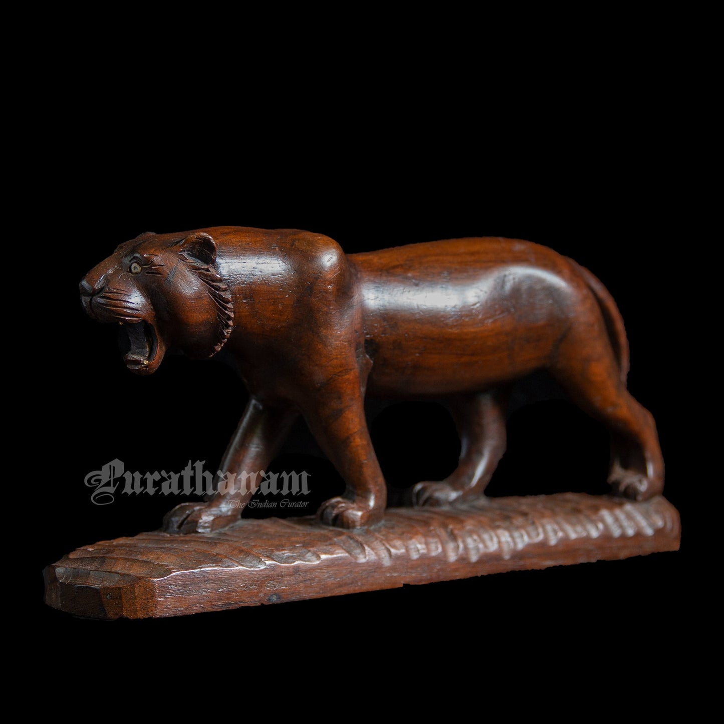 Lioness - Rose wood