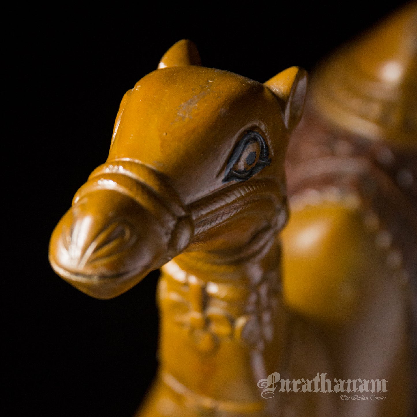 Seated Camel