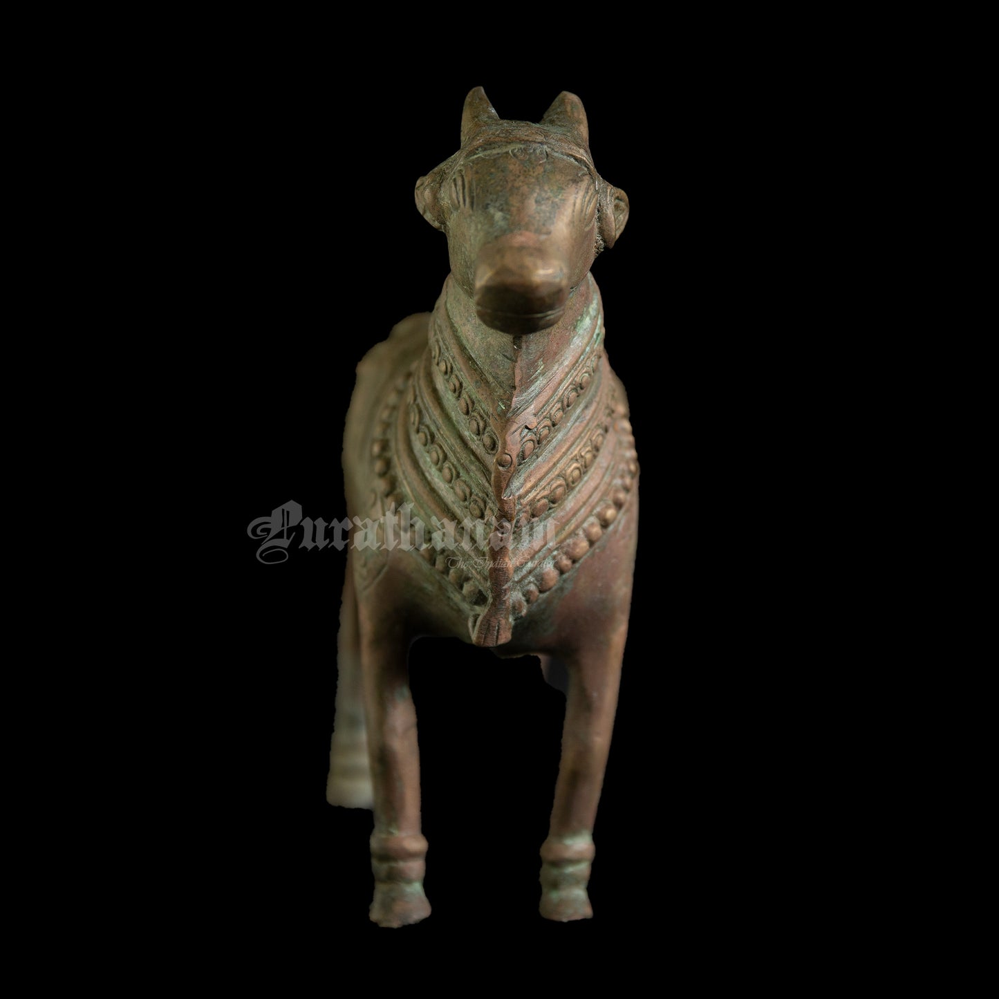 Nandhi - Brass