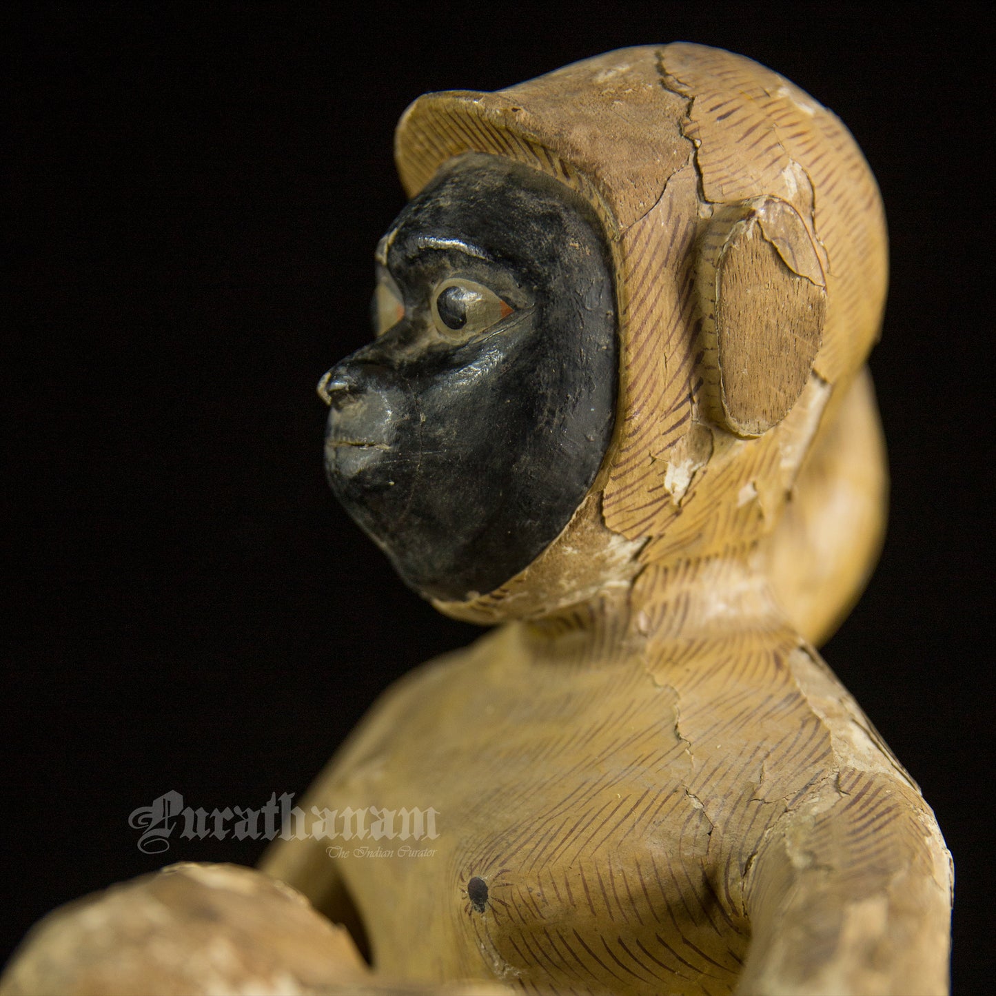 Seated female White Monkey