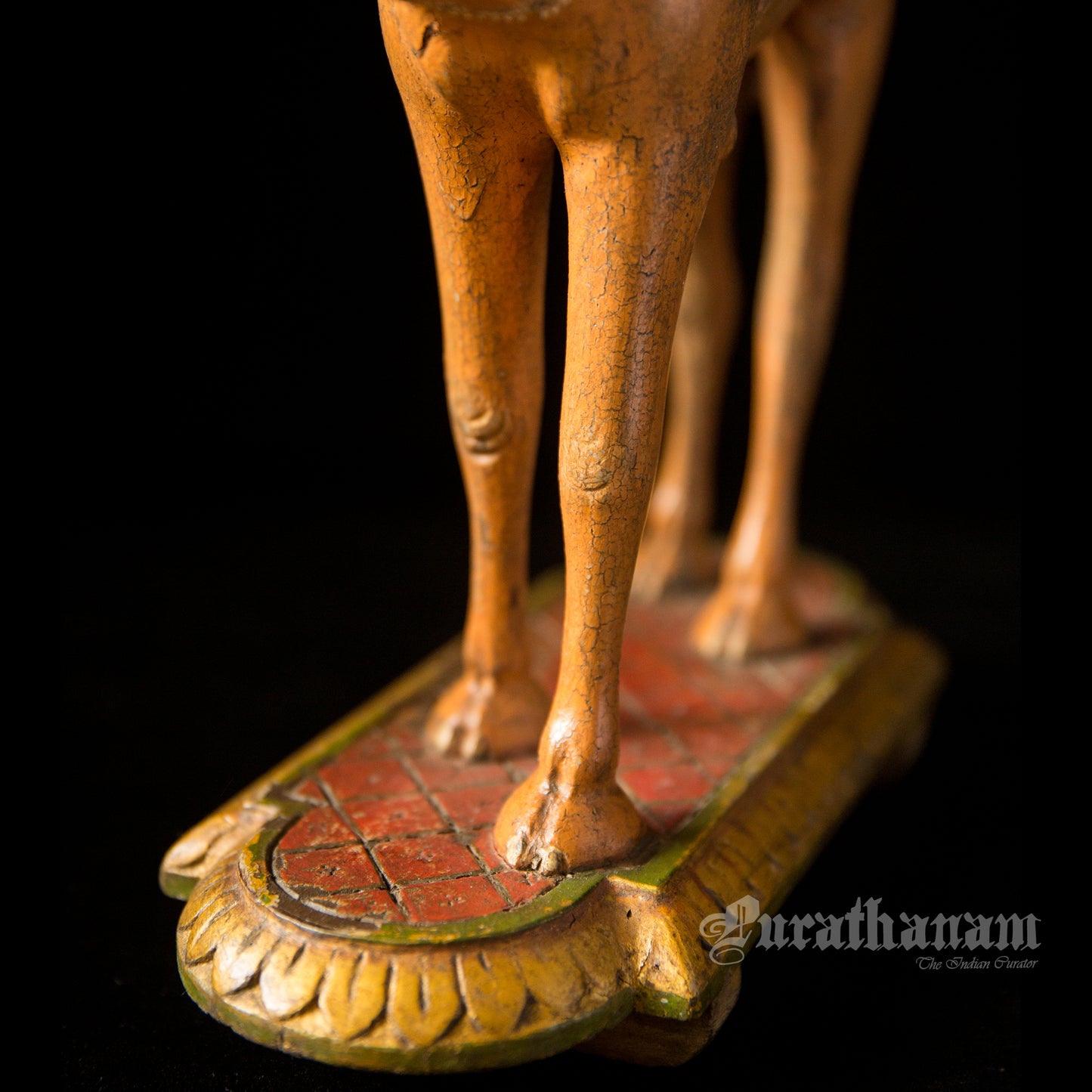 Camel Stand