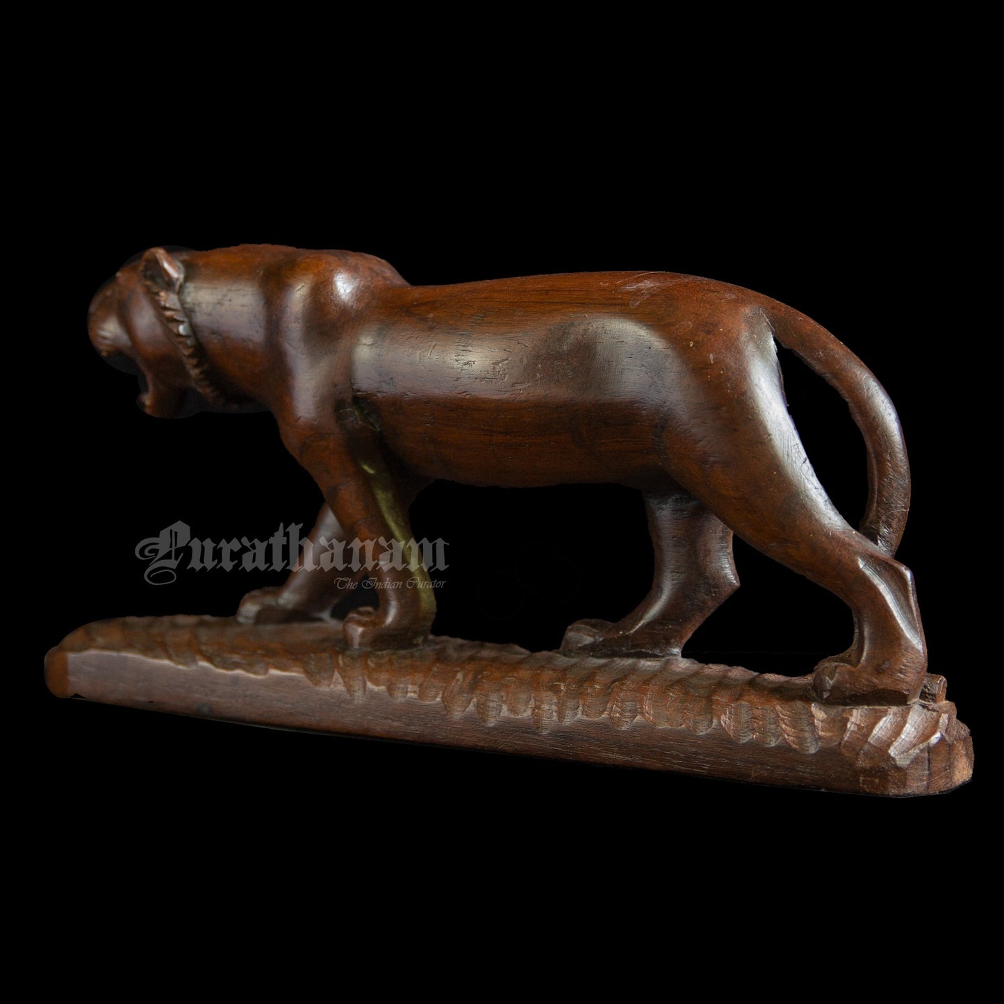 Lioness - Rose wood