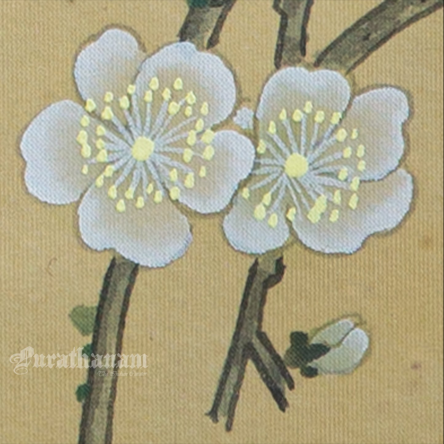 Brown bird and peach blossoms - Japanese art (shui-mo) - Bird Art / Avian Art