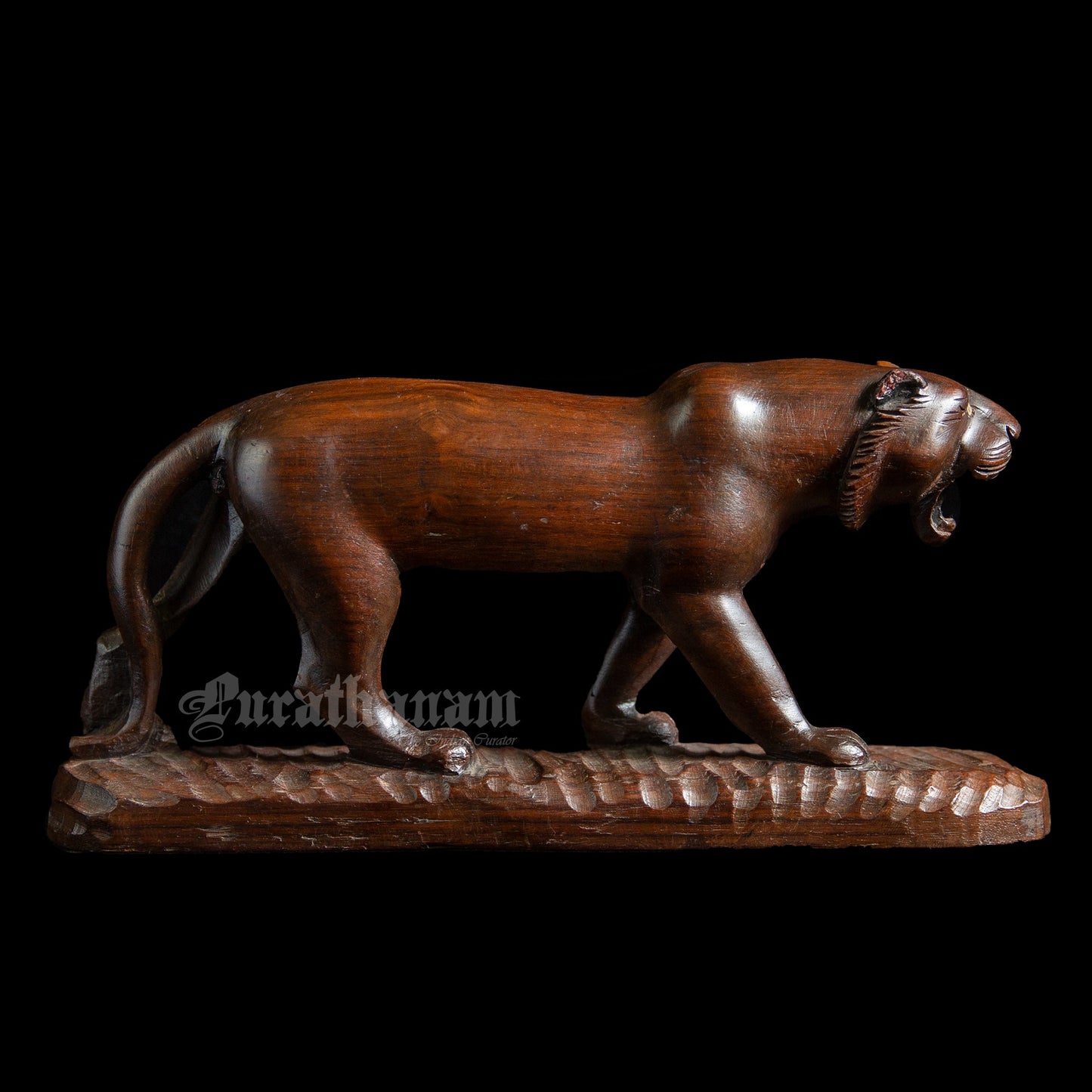 Lioness - Rose wood