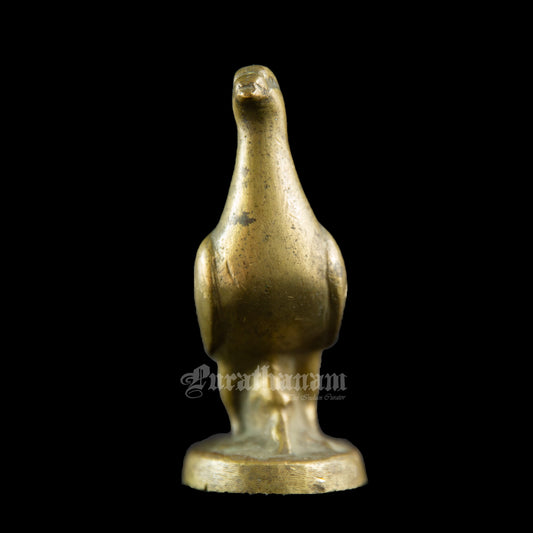 Dove Paper Weight - Brass