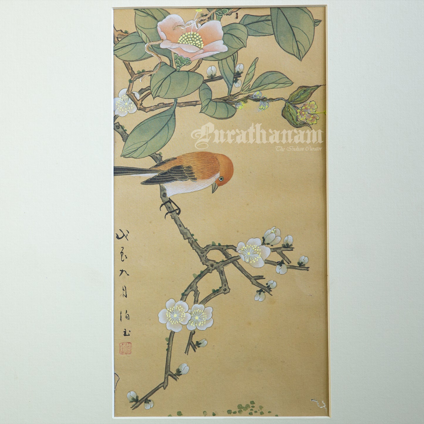Brown bird and peach blossoms - Japanese art (shui-mo) - Bird Art / Avian Art