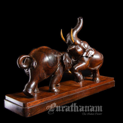Elephants - Rose wood