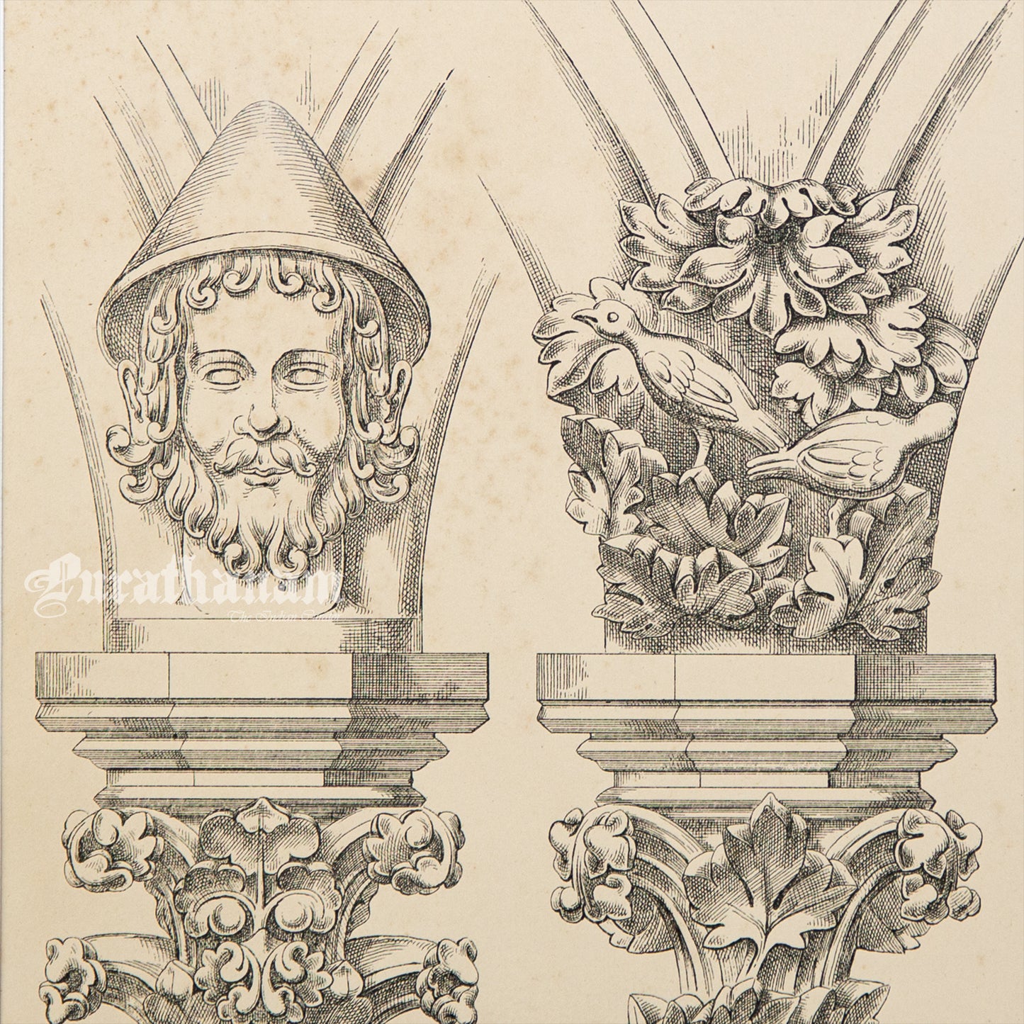 Medieval Architecture & Art-Auxerre - Plate 7 (Capital of Choirs) (Steel Engraving)